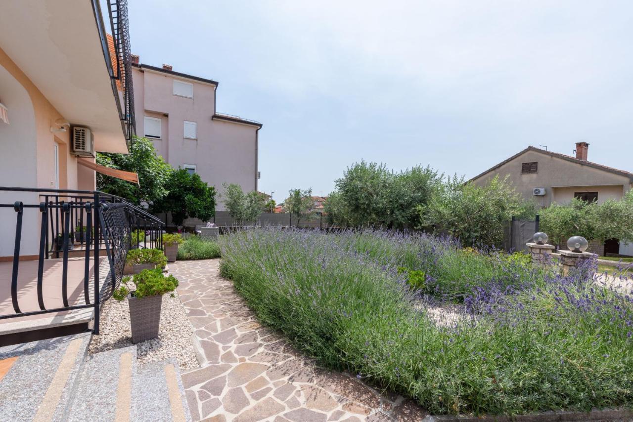 Apartment Masha Novigrad Istria エクステリア 写真