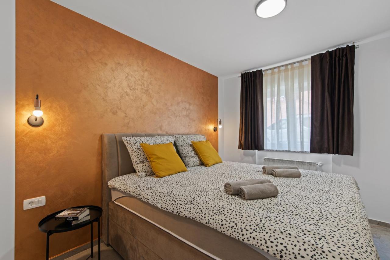 Apartment Masha Novigrad Istria エクステリア 写真